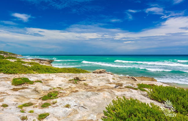 Casa Amor - Studio - Photo 17