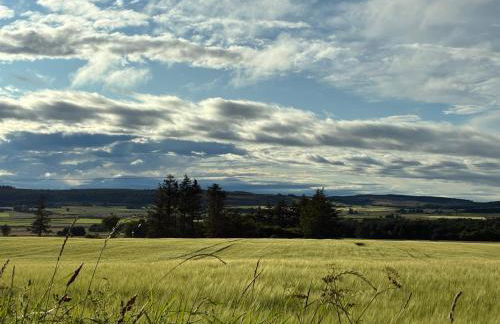 Cottage Farmhouse - Photo 9