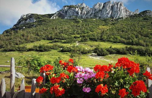 Haus Seehuber - Photo 16