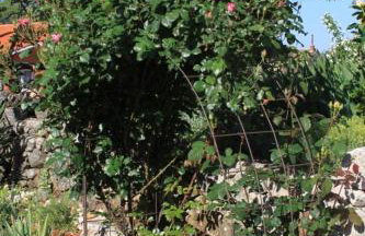 Apartments with a parking space Presika, Labin - 7617 - Foto 12