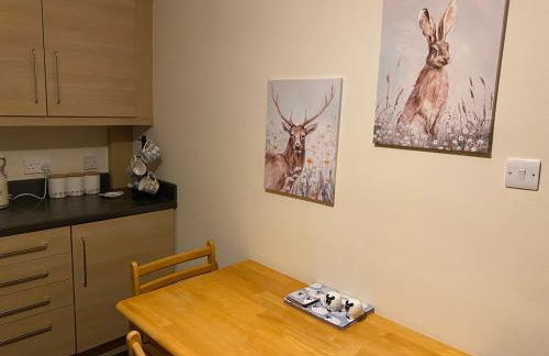 Esviken 2 in heart of Kirkwall - Foto 25