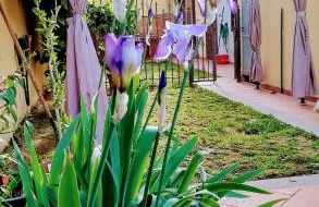 Casa Vacanze Emmanuele - Foto 11