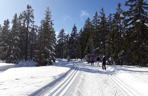Ferienwohnung "Waldzauber" - Foto 35