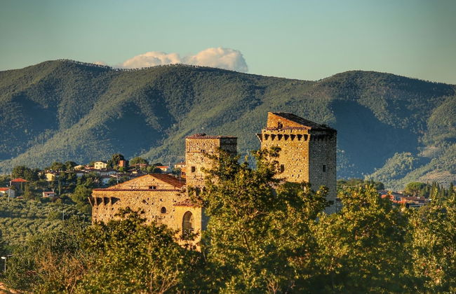 Historic Castle With View - Photo 34