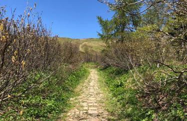 Cesa de Conesel - Foto 51