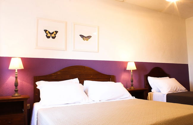 Boschi di Montecalvi - Foto 4