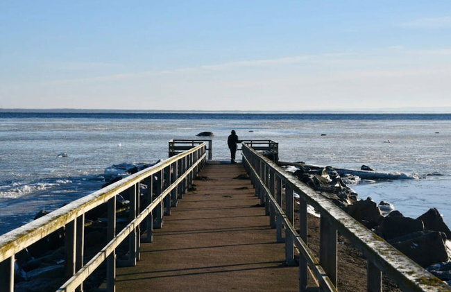4 Star Holiday Home in Halmstad - Photo 28