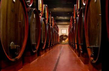 Castello di Roncade - Foto 18