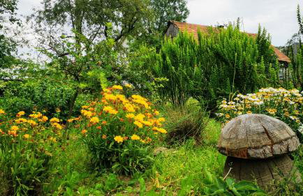 Wieś odNowa - Photo 35