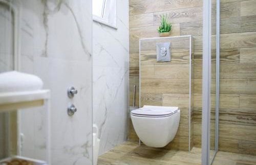Vila Curic - Photo 104