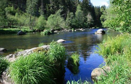 Helle, lichtdurchflutete Ferienwohnung im Herzen des Bayerischen Waldes, Nationalparknähe - Foto 29