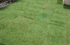 Charming apartment near La Défense, Paris - Foto 8