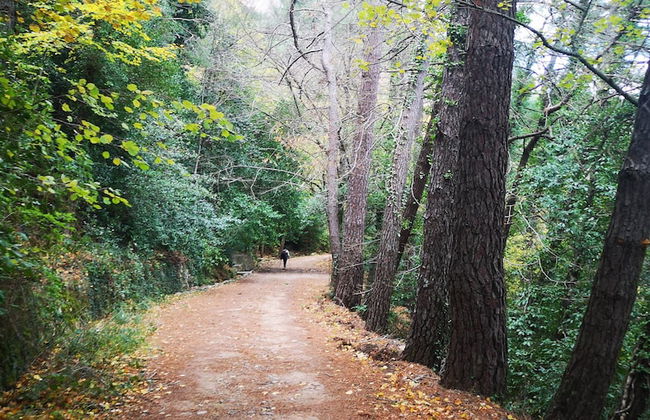 Mas de l'Arlequi Casa rural - Foto 28