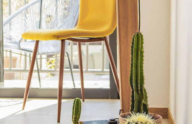 Justo Sierra SmartLife - Foto 49