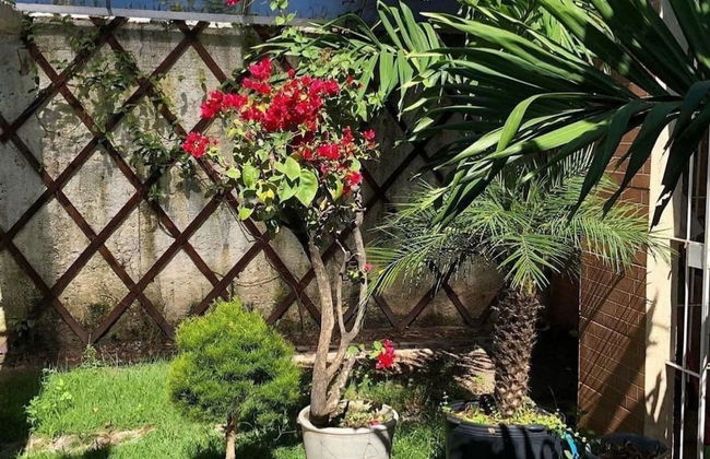 A Joia de Olinda - Foto 50