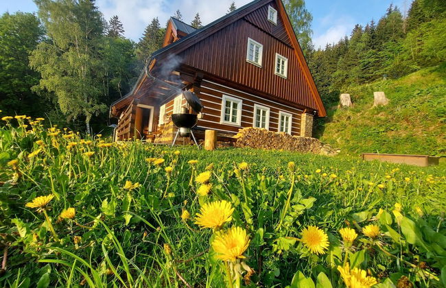 Rokytnice Krm450 in Rokytnice nad Jizerou - Foto 35