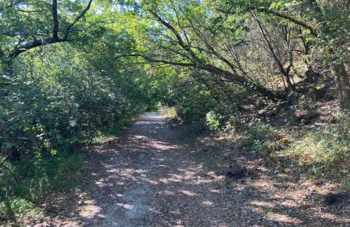 Les ptits nids du Lac - Foto 11