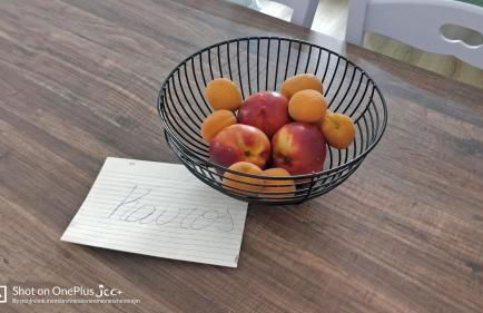 Kairos Montone - Foto 10