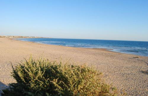 Coto de Sancti Petri - Foto 62