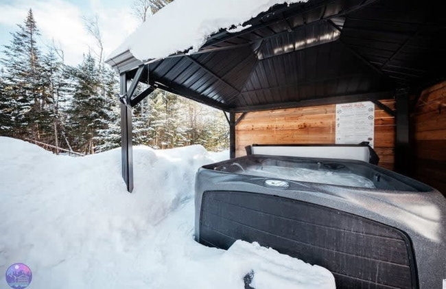 Sommet- Pet Friendly- Spa- SKI IN SKI OUT St-c me - Foto 24