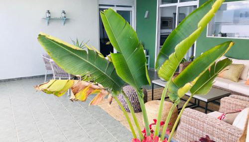 La Casa Verde - Foto 2