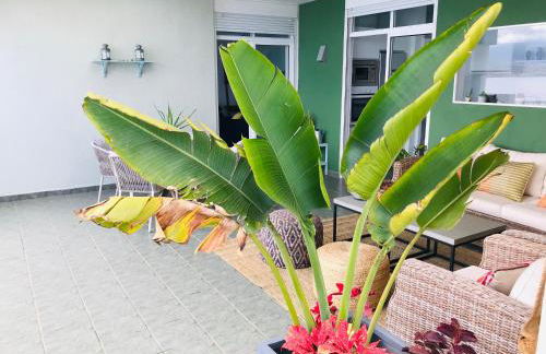 La Casa Verde - Foto 2