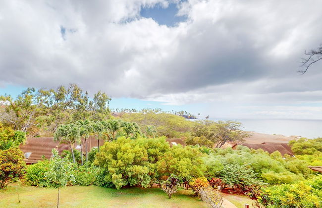 Paniolo Hale - Foto 33