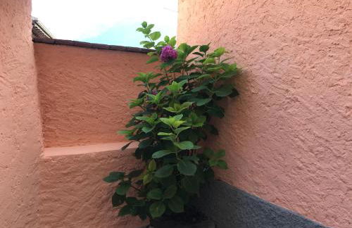 Casa Carlazzo - Foto 26