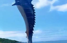 Apartamento rosa - Photo 11