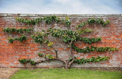 The Cart Shed - Foto 24