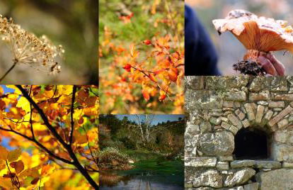 Cal Barceló - Foto 24