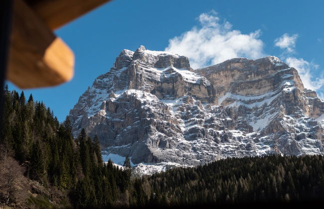 Stella Alpina Suite - Foto 22