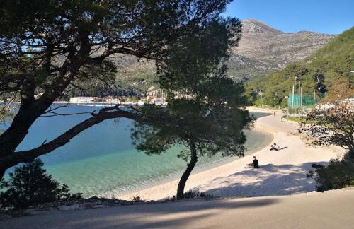 Studio Apartman Karlita - Foto 25