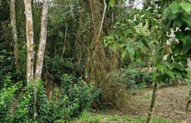 Recanto da Felicidade - Foto 23