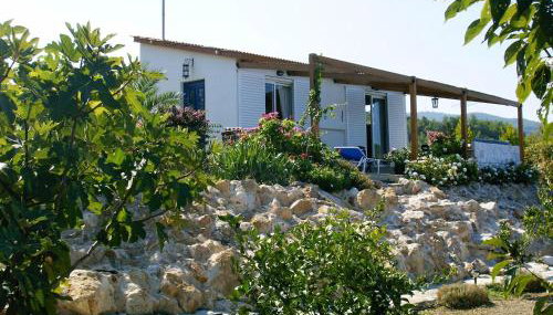 O Ioannis - Photo 4, Garden