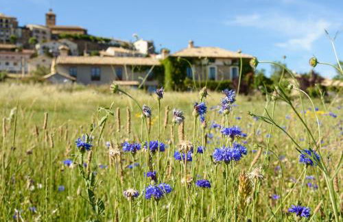 Casa Sarasa - Foto 20