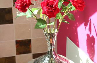 Suite Romantique 45m2-Amiens Centre-SPA & Parking - Foto 15