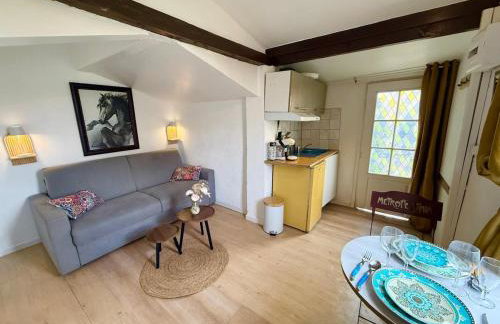 Small Provencal Castle with Swimming Pool, Tennis, Gym & Calm - Foto 40