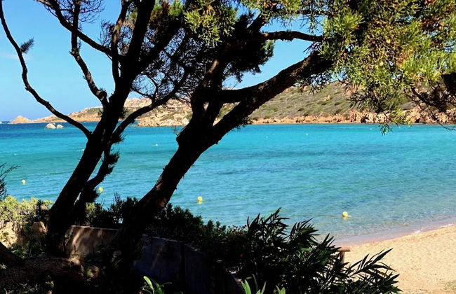 Maison Monte d A Rena - Photo 5