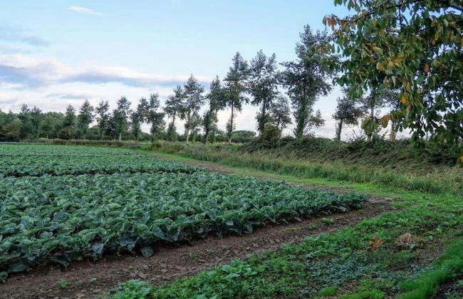 Peaceful Retreat Near Zeeland Beach - Photo 37