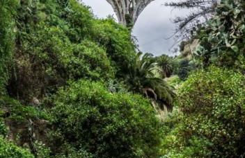 Casa Carmelita - Foto 35