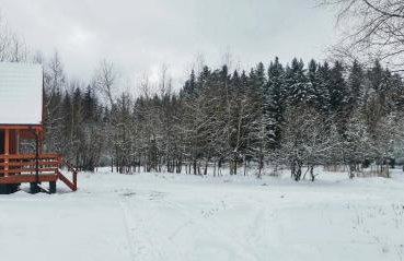 FreeDom House - Foto 8