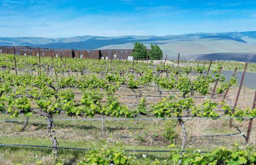 The Wine Box 11B at Cave B Ridge Wine Relax Enjoy - Foto 24