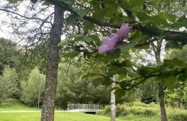 La petite bulle - Foto 6