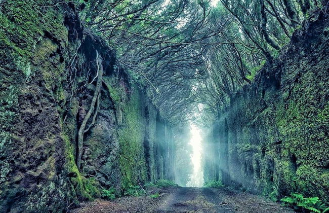 Belvilla by OYO Apartamento en Playa Las Carmenes - Foto 18