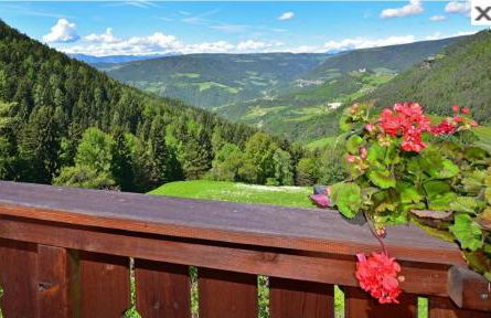 Waldnerhof - Photo 7