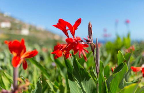 Casa Rural El Arenal - Foto 53