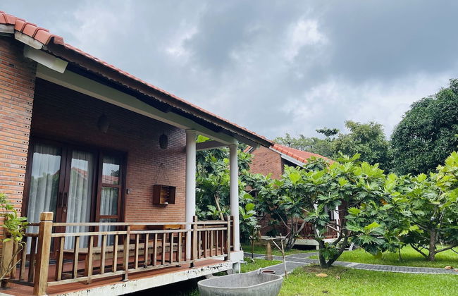 Lotus Home - Foto 19