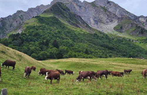 La petite Anfiane - Photo 32