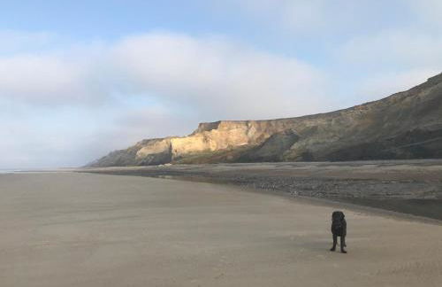 Betty's Cottage - Traditional Norfolk Farm Cottage - Foto 30